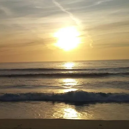 Azurara Large And Sunny Lejlighed