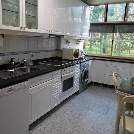 Azurara Large And Sunny Árvore