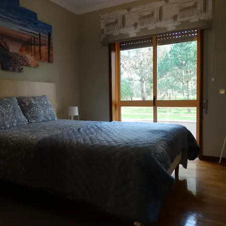 Azurara Large And Sunny Apartament Árvore