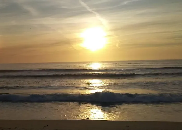 Azurara Large And Sunny 아파트