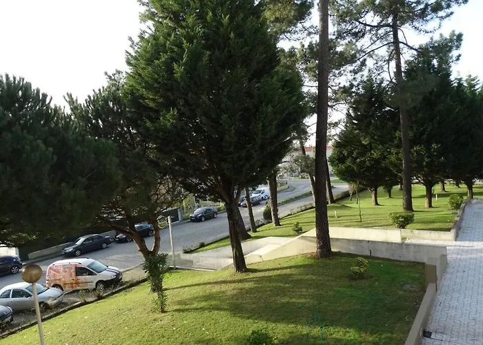 Azurara Large And Sunny 아파트 *