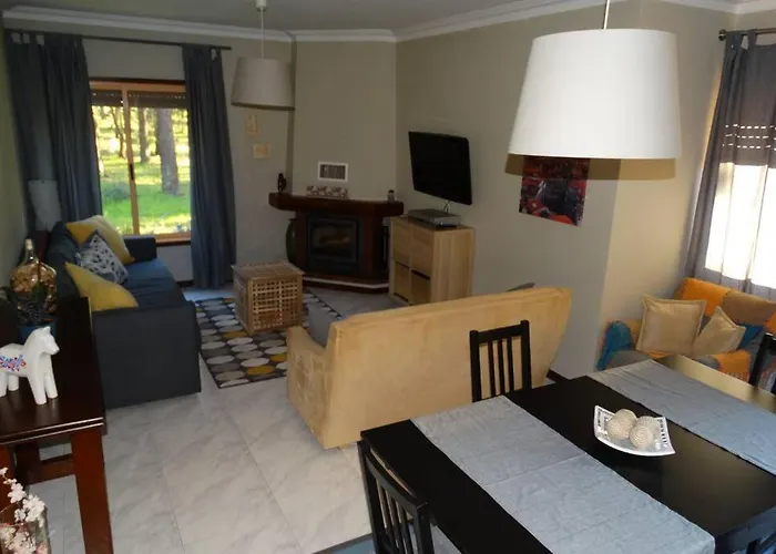 Azurara Large And Sunny 아파트 Árvore