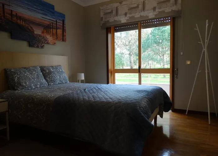 Azurara Large And Sunny 아파트 Árvore